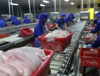 Thị trường xuất khẩu