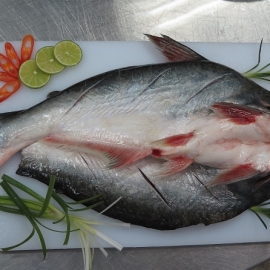 Cá Tra Xẻ Bướm